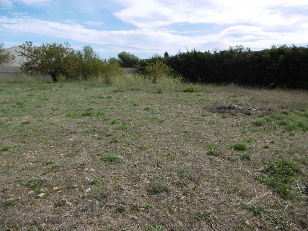 Terrain LEZIGNAN CORBIERES PINK Immobilier