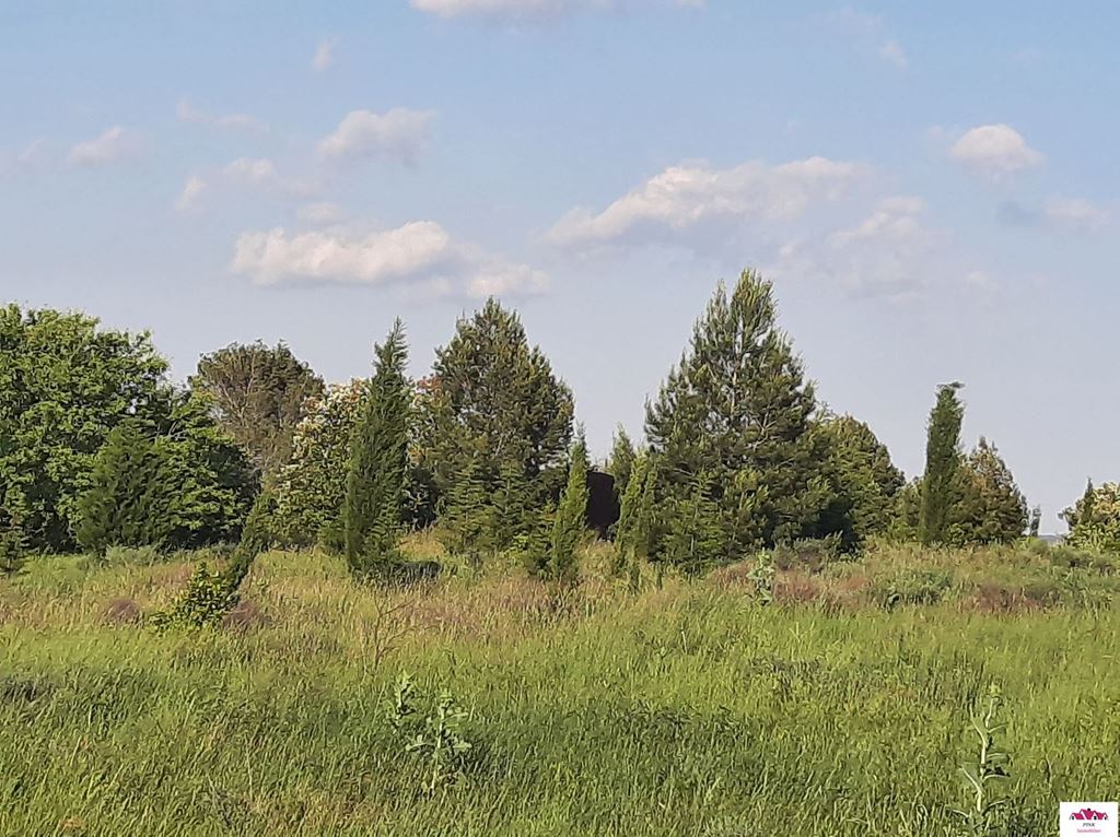 Terrain MINERVOIS PINK Immobilier