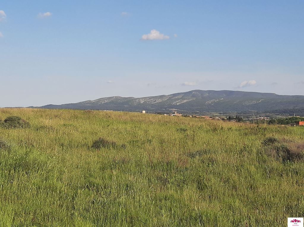 Terrain MINERVOIS PINK Immobilier
