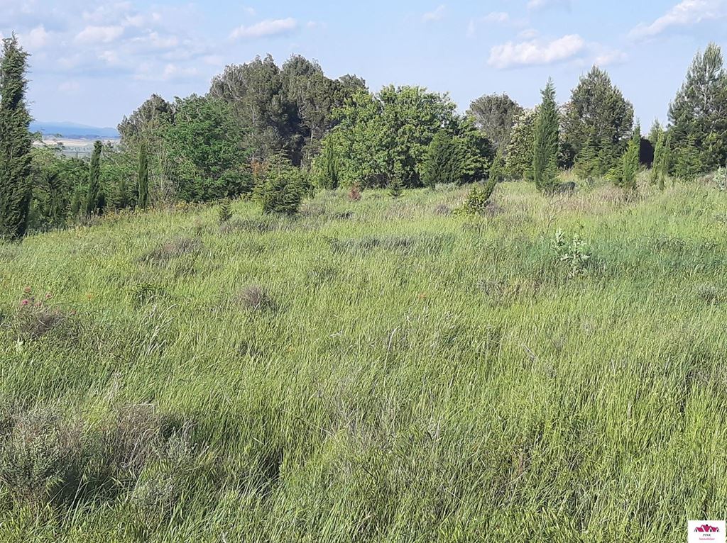 Terrain MINERVOIS PINK Immobilier